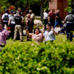 Florida state-tramesh