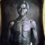 Harvard Returns Slave-Era Photos After Legal Battle, Transfers Them to South Carolina Museum 5 Harvard Returns Slave-Era Photos After Legal Battle, Transfers Them to South Carolina Museum-tramesh