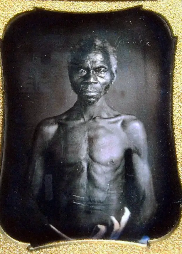 Harvard Returns Slave-Era Photos After Legal Battle, Transfers Them to South Carolina Museum-tramesh