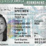 dv green card-tramesh